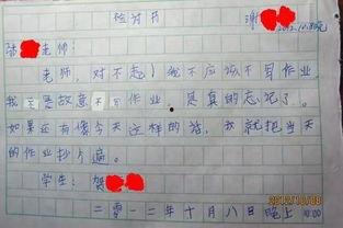 娱乐吃瓜酱检讨书,反思与成长之路