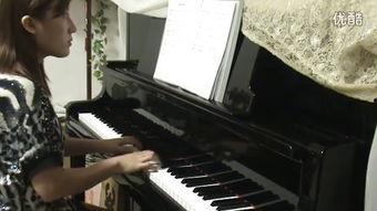 黑狐背景钢琴音乐,钢琴旋律下的神秘之旅