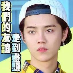 吃瓜娱乐圈真假,真假难辨的八卦风云